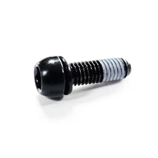 T2022773 | Bolt Caliper M6X19Mm Blk